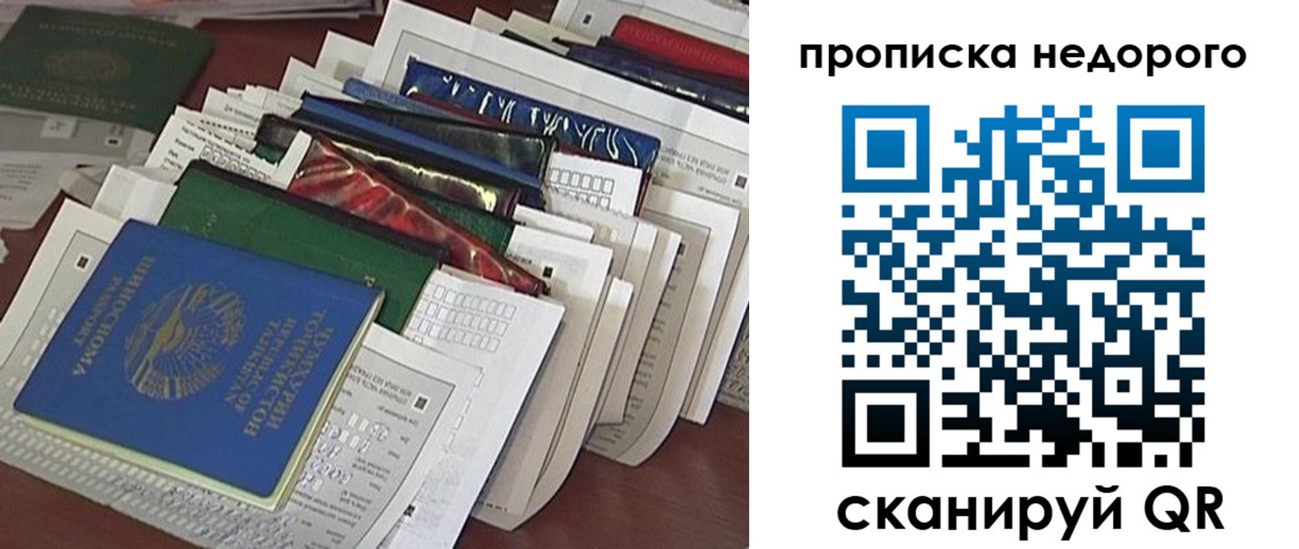 прописка гарантия в Пионерском