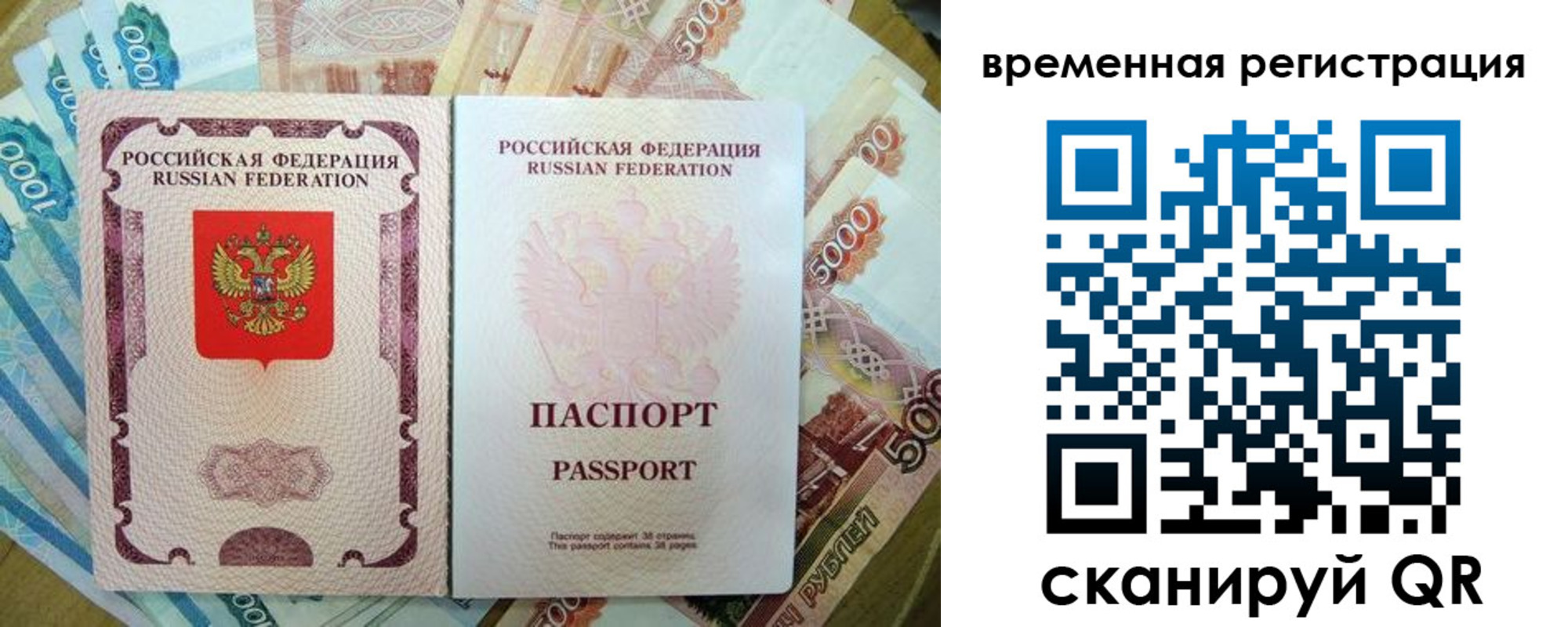 прописка для школы в Пионерском